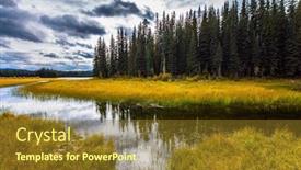  Presentation with dry forest - Audience pleasing slide set consisting of coniferous-evergreen-forest-among-shallow backdrop and a tawny brown colored foreground