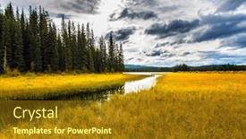  Presentation with dry forest - Beautiful presentation featuring coniferous-evergreen-forest-among-shallow backdrop and a tawny brown colored foreground
