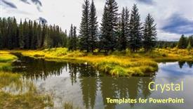  Presentation with wetland - Beautiful PPT theme featuring coniferous evergreen trees among wetland picturesque canadian rockies cloudy autumn day near the bighorn highway the concept of ecological active and photo tourism backdrop and a tawny brown colored foreground