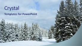  Presentation with snow covered trees and falling - Theme with coniferous forest - fir trees covered with snow background and a light blue colored foreground