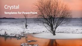  Presentation with forest winter - Beautiful PPT theme featuring coniferous forest - winter lake in sunset backdrop and a  colored foreground
