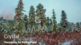  Presentation with mountain snow - Slide deck featuring coniferous forest on mountain slopes covered with the first snow dolomites in northern italy alpine pass giau background and a tawny brown colored foreground