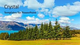  Presentation with decorate - PPT theme enhanced with coniferous green alley background and a light blue colored foreground