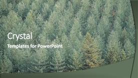  Presentation with trees forest lumber - Amazing theme having coniferous trees in the forest backdrop and a  colored foreground