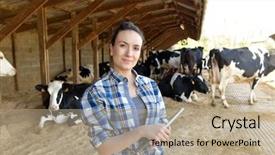  Presentation with tablet - Slide deck having connected with tablet in cowshed background and a mint green colored foreground