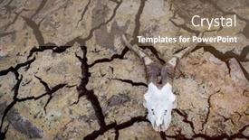  Presentation with drought - Slide set featuring consequences-of-the-drought-cracked background and a violet colored foreground