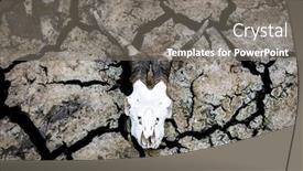  Presentation with drought - Cool new slide deck with consequences-of-the-drought-cracked backdrop and a gray colored foreground
