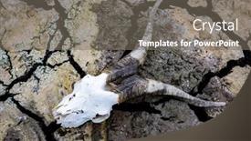  Presentation with drought - Amazing slide set having consequences-of-the-drought-cracked backdrop and a gray colored foreground