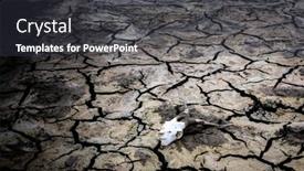  Presentation with drought - Slide set with consequences-of-the-drought-cracked background and a dark gray colored foreground