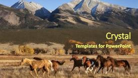  Presentation with horses - Slide deck having conservancy zapata ranch in colorado background and a tawny brown colored foreground