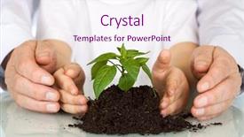  Presentation with young plant - Presentation with heritage conservation - plant a seedling today background and a sky blue colored foreground