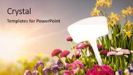  Presentation with conservation agriculture - Cool new presentation theme with conservation agriculture - empty tag and flowers backdrop and a lemonade colored foreground