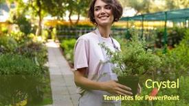  Presentation with cute - Colorful theme enhanced with conservatory - image of beautiful cute woman backdrop and a tawny brown colored foreground