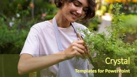  Presentation with cute - Audience pleasing PPT layouts consisting of conservatory - image of beautiful cute woman backdrop and a tawny brown colored foreground