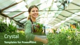  Presentation with greenhouse - Colorful PPT theme enhanced with conservatory - image of pretty woman gardener backdrop and a tawny brown colored foreground