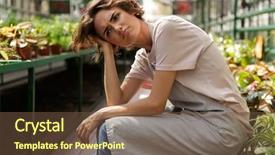  Presentation with tired - Cool new PPT theme with conservatory - photo of displeased tired woman backdrop and a tawny brown colored foreground