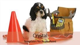  Presentation with old dog - Cool new presentation with puppy sitting with construction tools backdrop and a  colored foreground