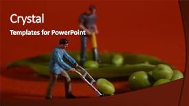  Presentation with peas - Cool new theme with construction workers in conceptual food backdrop and a  colored foreground