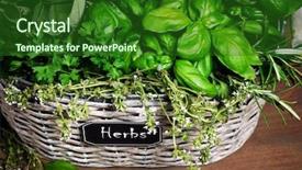  Presentation with herbs - Presentation enhanced with container garden - basket with herbs background and a forest green colored foreground