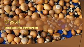  Presentation with alkaloids - Beautiful PPT theme featuring containers-for-the-llijta-alkaline backdrop and a red colored foreground