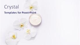  Presentation with beautiful orchid flowers - Audience pleasing theme consisting of containers-with-cream-and-beautiful backdrop and a sky blue colored foreground