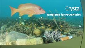  Presentation with ocean pollution - Amazing presentation design having contaminated sea - plastic pollution in ocean backdrop and a teal colored foreground