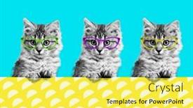  Presentation with contemporary art - Amazing theme having contemporary-art-collage-cat backdrop and a yellow colored foreground