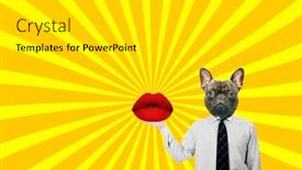  Presentation with contemporary art - Colorful theme enhanced with contemporary-art-collage-combining backdrop and a light gray colored foreground