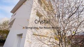  Presentation with modern black and white trees - PPT theme featuring contemporary beautiful modern white house background and a  colored foreground