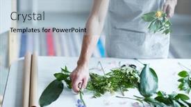  Presentation with iris flower yellow - Amazing PPT layouts having contemporary florist taking iris flower from desk to put it into bunch of green leaves and yellow rose backdrop and a light blue colored foreground