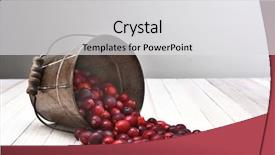  Presentation with spilling - PPT theme with contents of fresh harvested cranberries background and a light gray colored foreground