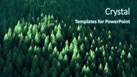  Presentation with pine trees - Slide deck featuring lush green pine trees forest background and a ocean colored foreground
