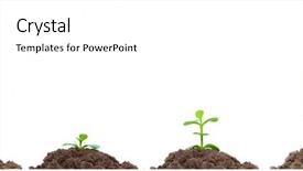  Presentation with life plan - PPT theme with continuity planning - process of green plan growing background and a white colored foreground