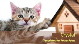  Presentation with house model software - Amazing PPT layouts having deed - kitten plays a model house backdrop and a tawny brown colored foreground