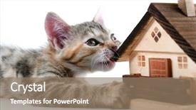  Presentation with white house - Slides with deed - kitten plays a model house background and a coral colored foreground
