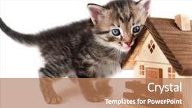  Presentation with white house - Colorful theme enhanced with deed - kitten plays a model house backdrop and a light gray colored foreground