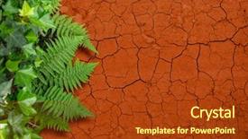  Presentation with soil - Amazing slide deck having contrast - contrasting background with dry soil backdrop and a tawny brown colored foreground