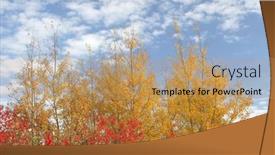  Presentation with fall colors - Cool new presentation design with contrasting-colors-of-foliage backdrop and a coral colored foreground