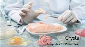  Presentation with food quality - Presentation theme enhanced with quality control expert inspecting background and a light gray colored foreground