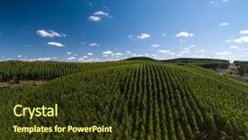  Presentation with aerial - Beautiful slides featuring convergence - aerial view of eucalyptus forest backdrop and a tawny brown colored foreground