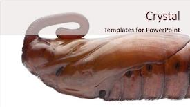  Presentation with pupa - Colorful PPT layouts enhanced with convolvulus hawk-moth or sweetpotato backdrop and a lemonade colored foreground