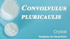  Presentation with cognitive function - Slides featuring convolvulus-pluricaulis-nootropics-or-smart background and a teal colored foreground