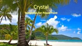  Presentation with palm tree - Slides consisting of cook islands - palm tree shadow background and a  colored foreground