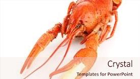  Presentation with lemon - PPT theme consisting of cooked fish - tasty boiled crayfish with lemon background and a lemonade colored foreground