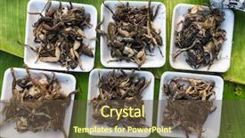  Presentation with frogs - Theme featuring cooked frogs in a tropical background and a  colored foreground
