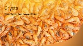  Presentation with shrimps - Presentation theme with cooked-shrimps-food-background-top background and a yellow colored foreground