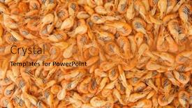  Presentation with shrimps - PPT theme with cooked-shrimps-food-background-top background and a  colored foreground