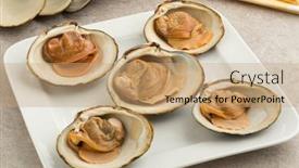  Presentation with clams - Colorful slide deck enhanced with cooked-spisula-solida-or-surf backdrop and a coral colored foreground