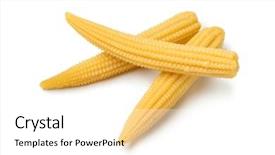  Presentation with sweet corn - Audience pleasing slide deck consisting of cooked sweet yellow baby corn backdrop and a white colored foreground