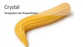  Presentation with sweet corn - Beautiful PPT layouts featuring cooked sweet yellow baby corn backdrop and a white colored foreground